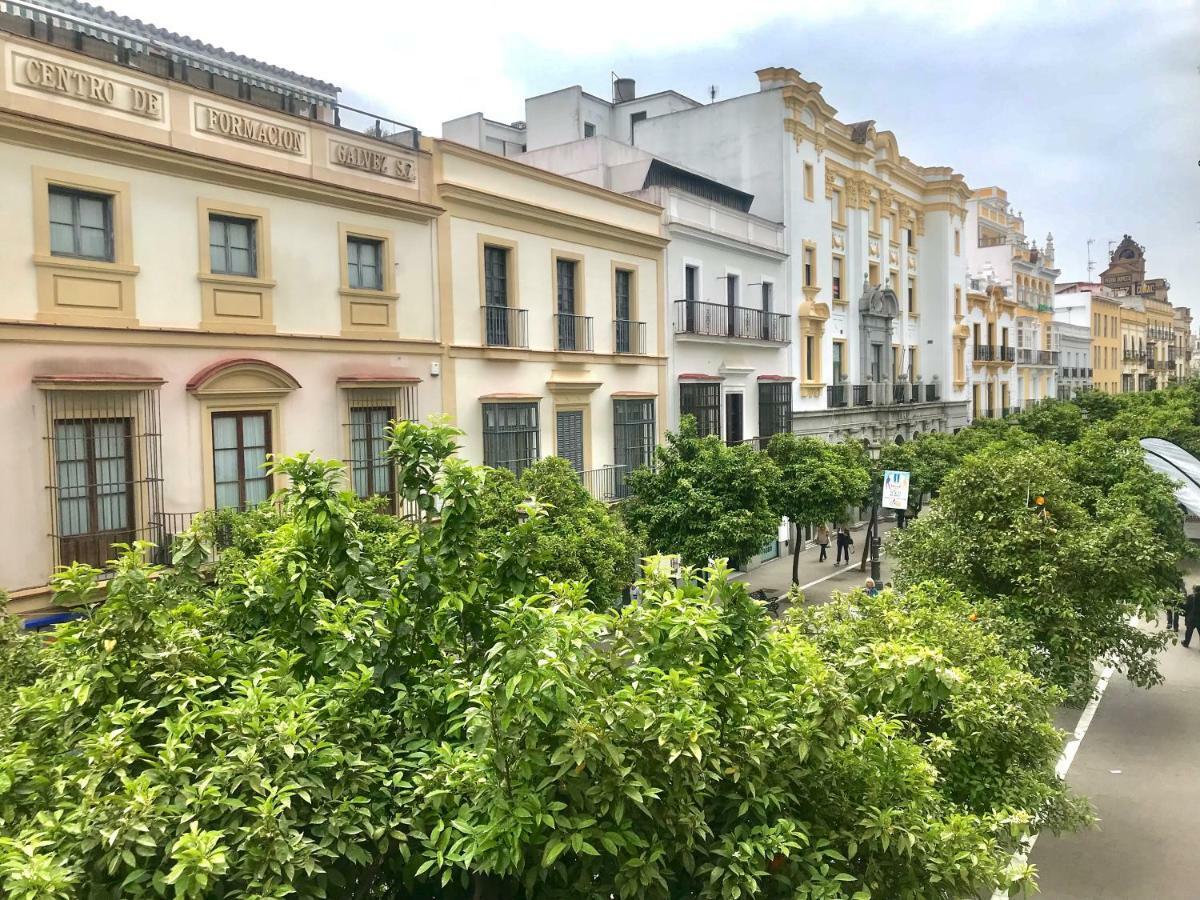 赫雷斯Apartamento Centro De Jerez公寓 外观 照片